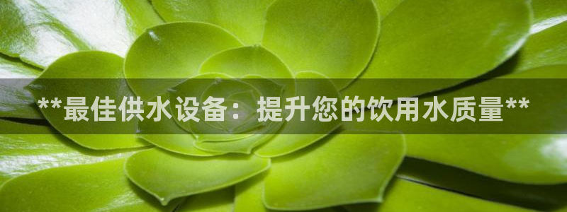 球友会台球俱乐部在哪