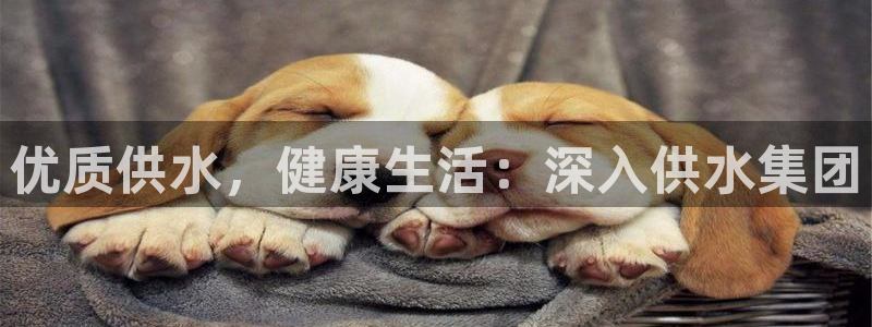 球友会app介绍