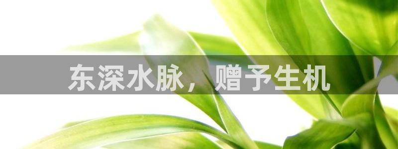 球友会比赛结果查询官网
