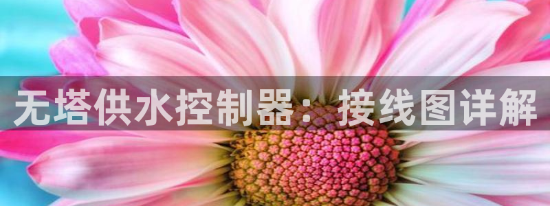 球友会官网入口网址