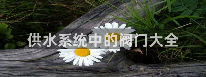球友会FIFA22比赛是否能随机超控