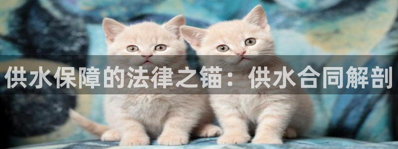 球友会app网址