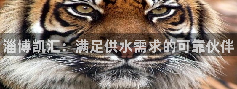 球友会app官网