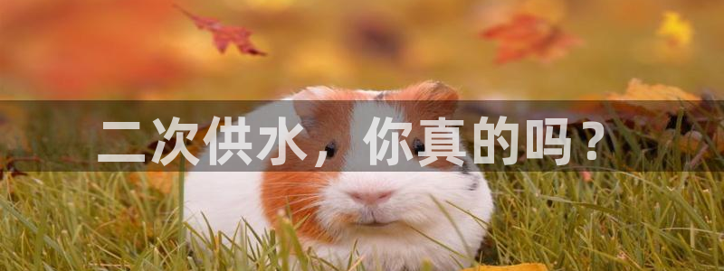 球友会登录网站