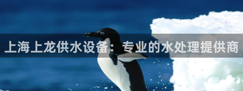 球友会体育app下载官网安卓