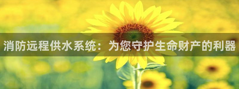 球友会提现不到账