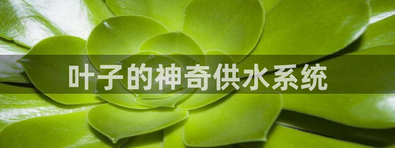 球友会app官方网站