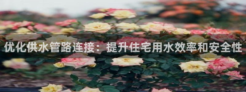 球友会开户礼金在哪领