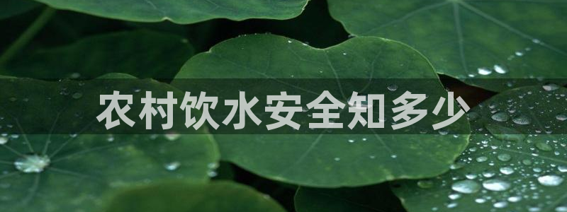 球友会登陆