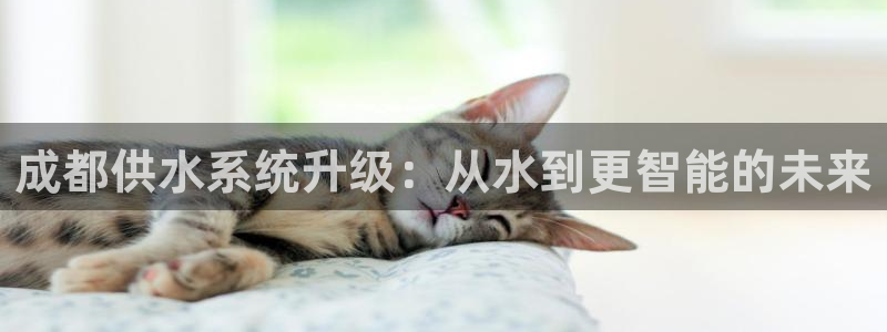 关键词