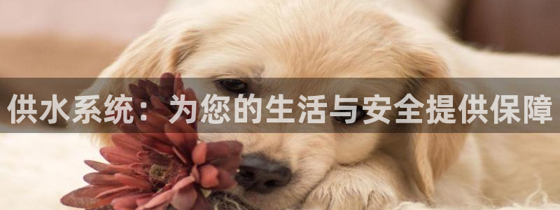 球友会官方网站入口