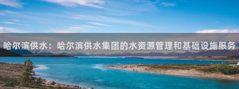 球友会app官网下载