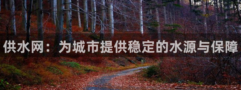 球友会比尔森胜利塔波斯科