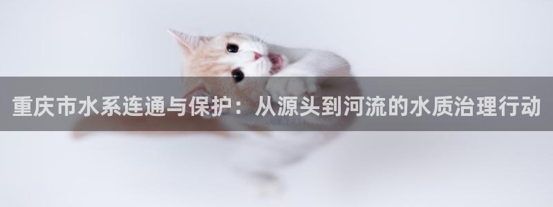 qy球友会体育官方平台