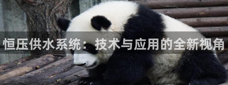 球友会聚餐发言稿简短