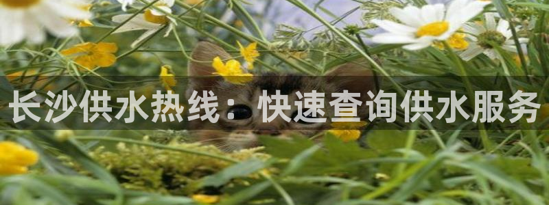 球友会在线登录