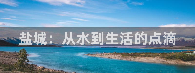 球友会比赛结果查询系统