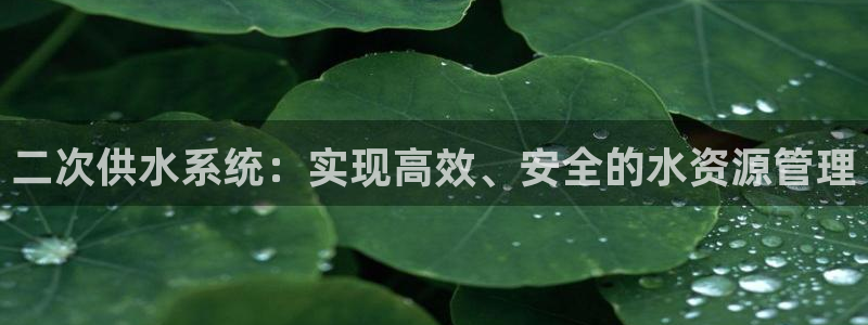 球友会聚餐发言